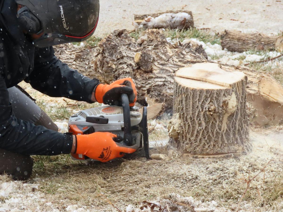 A worker holding a power saw, ready for tree and stump work