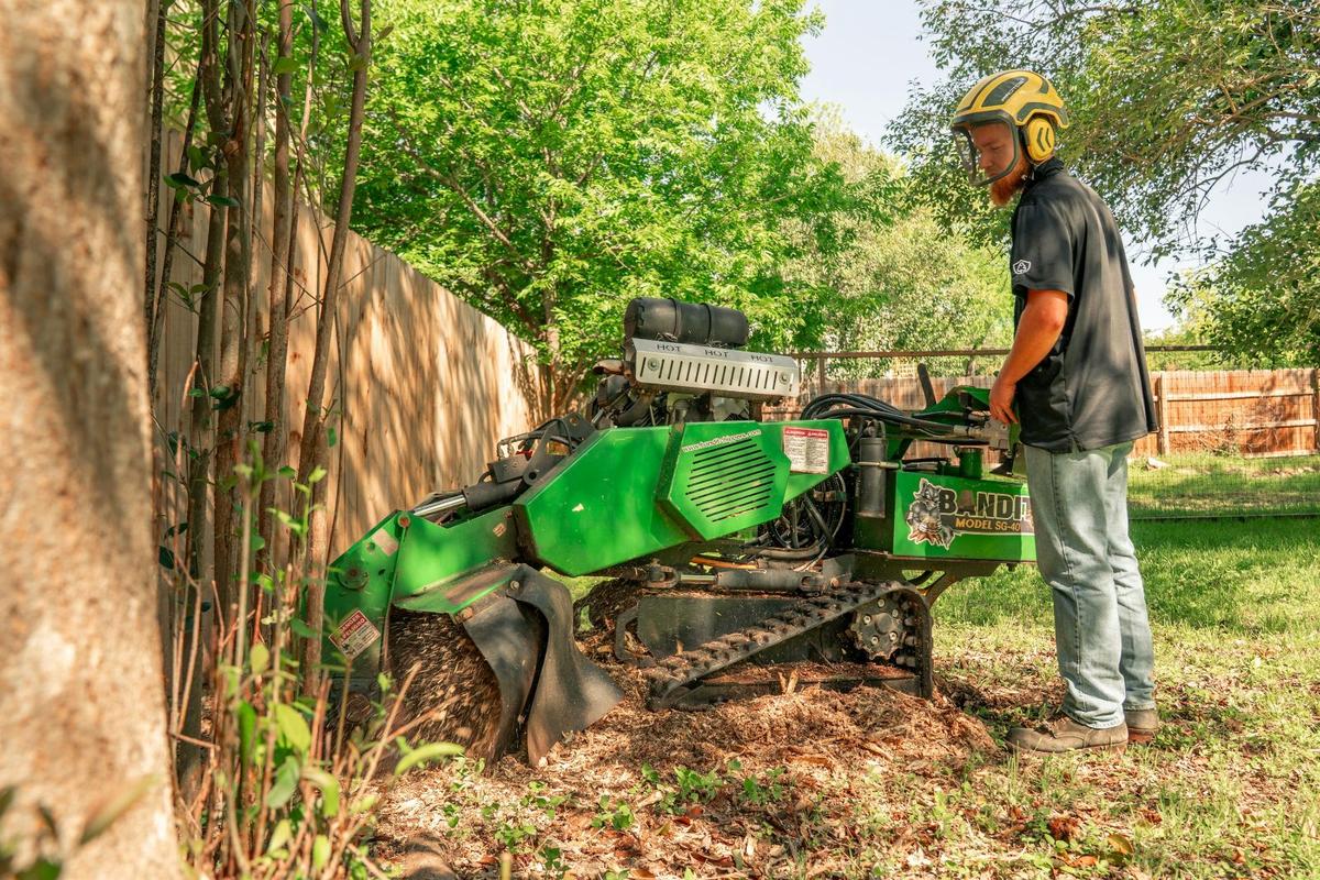 A stump grinder working below grade on a residential lawn stump