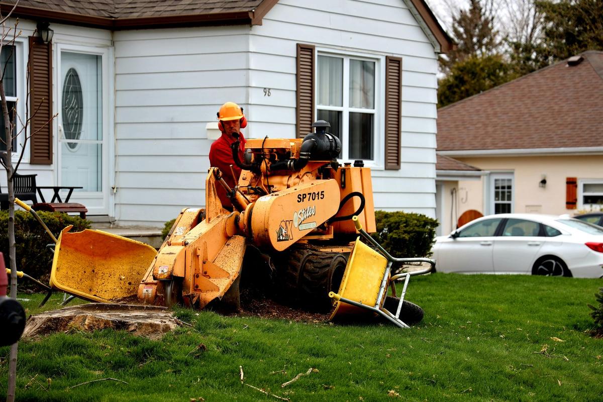 A stump grinder machine parked on a residential lawn