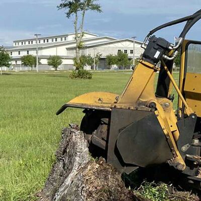 A stump grinder set up on a residential lawn for a larger job