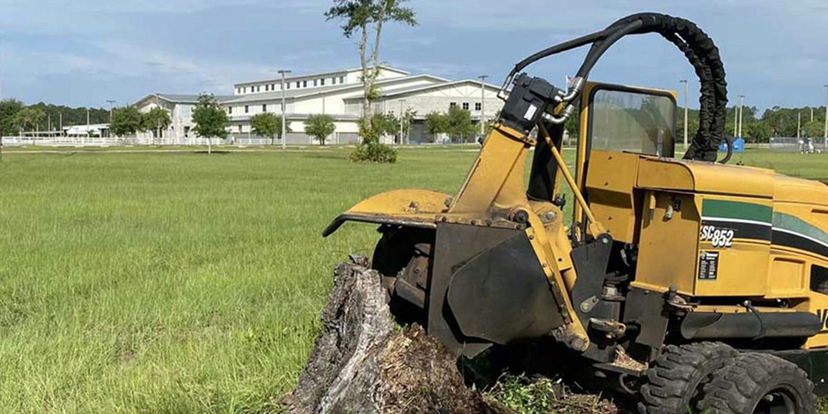 A stump grinder set up on a residential lawn for a larger job